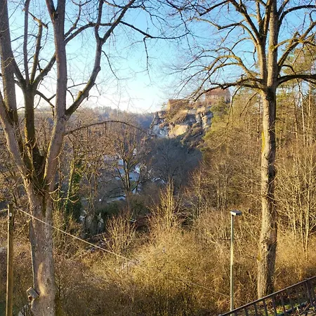 Waldliebe - Mit Grossem Balkon Und Burgblick Appartamento *